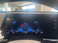 BMW (U11) IX1 XDRIVE 30 313 XLINE